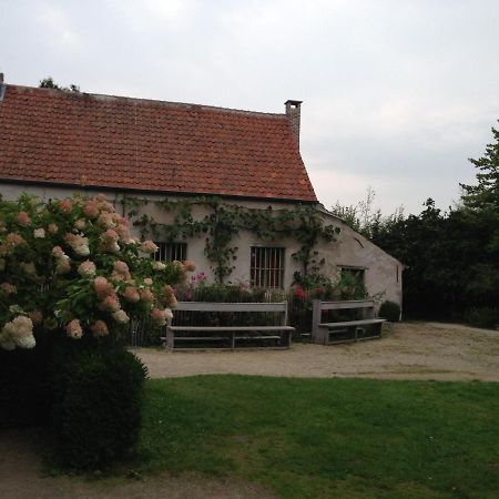 Trommelhoeve Farm Lofts Boechout Zewnętrze zdjęcie